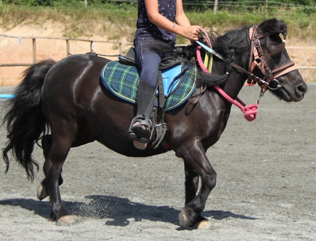 jeux_poney_equitation