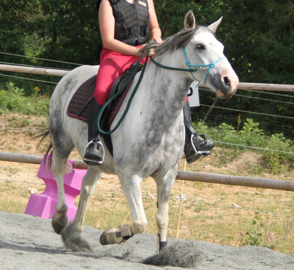 poney_jeux_equitation
