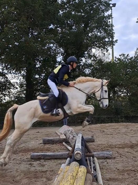 black_cross_complet_sport_poney