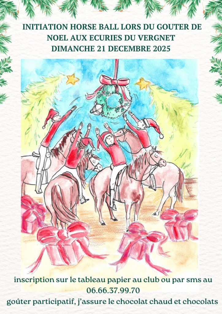 noel-gouer-poney-horse-ball-fun