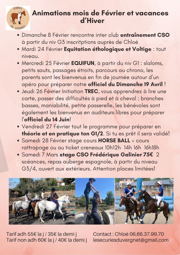 poney-fun-equifun-trec-horse-ball-cso-enfants