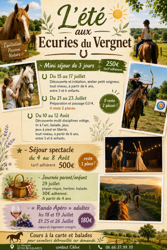 ete-fun-poney-jeux-equitation-sejour