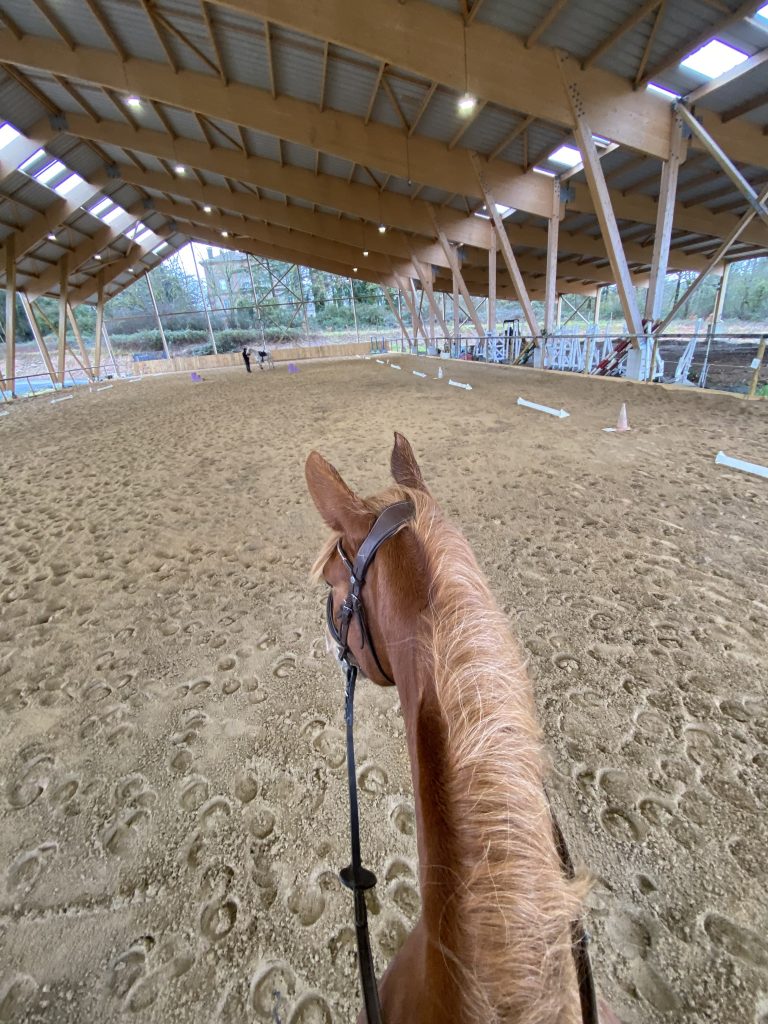 grand-manege-equitation-sport-pension