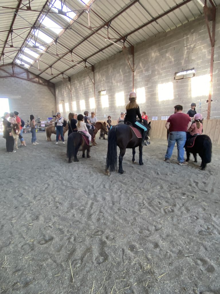 manege-baby-poney