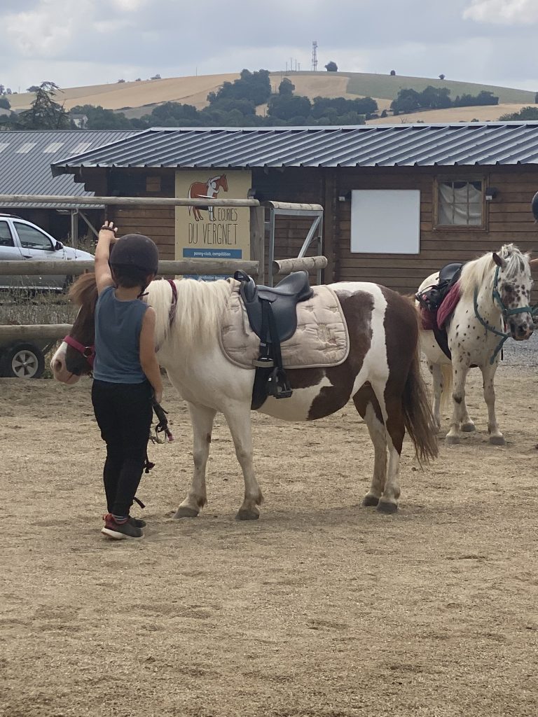 chalet-poney-lebellise-ffe