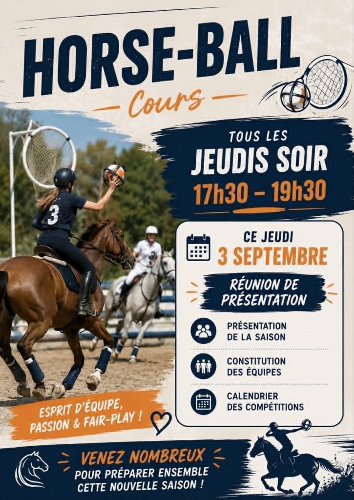 horse-ball-sport-equipe-fun