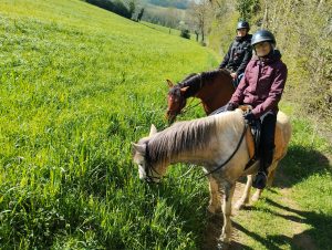 IMG_20230405_112324