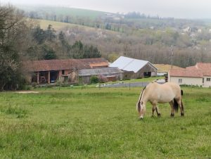près écuries du vergnet